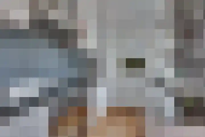Seringenstraat 34 Zwolle thumbnail 4