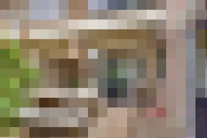 Seringenstraat 34 Zwolle thumbnail 43