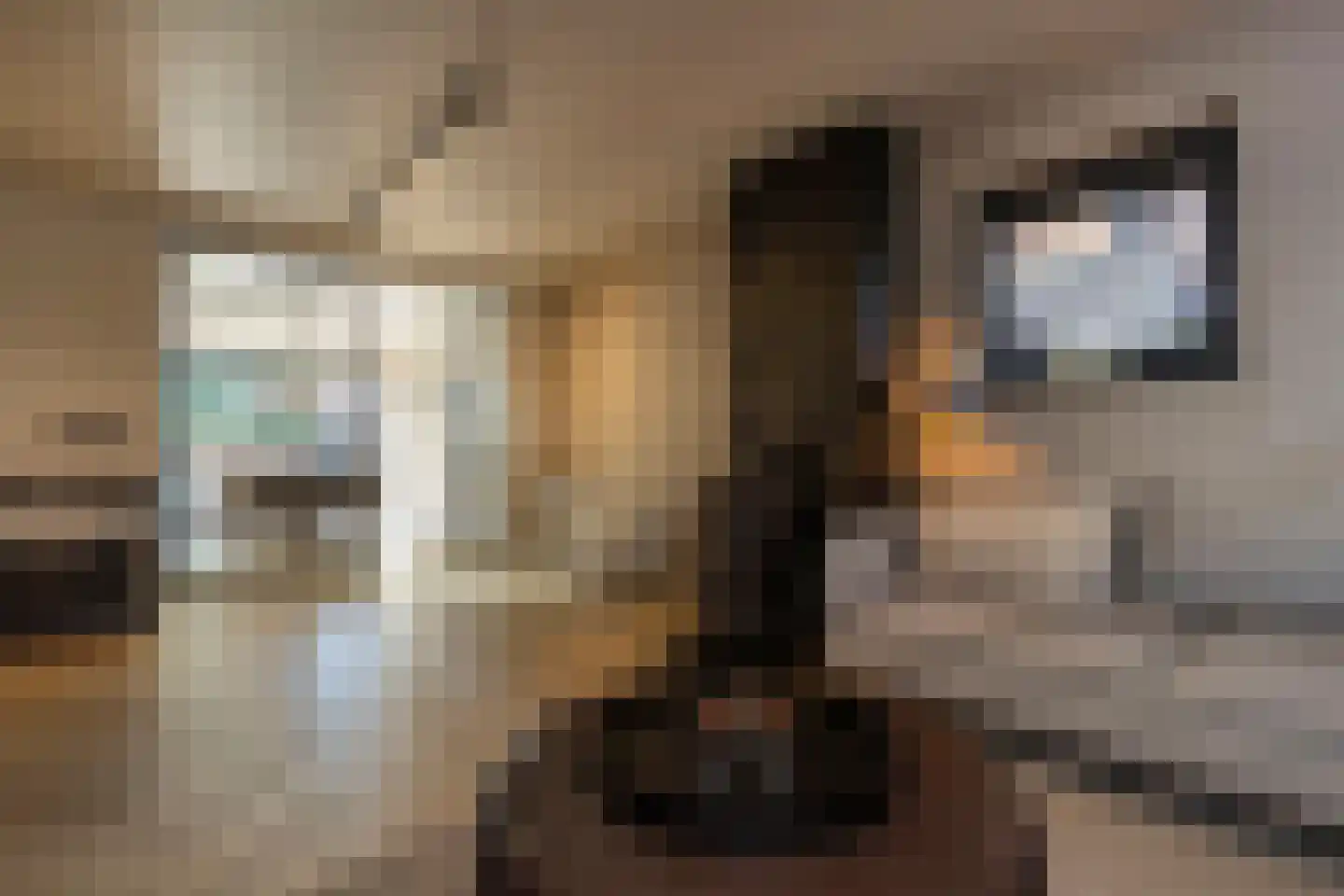 Seringenstraat 4 Ell thumbnail 12