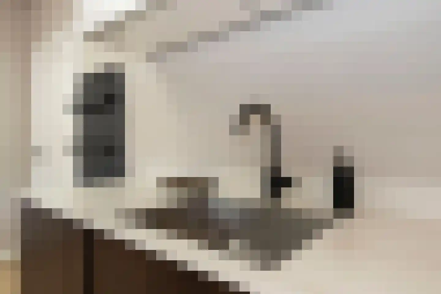 Seringenstraat 4 Ell thumbnail 21