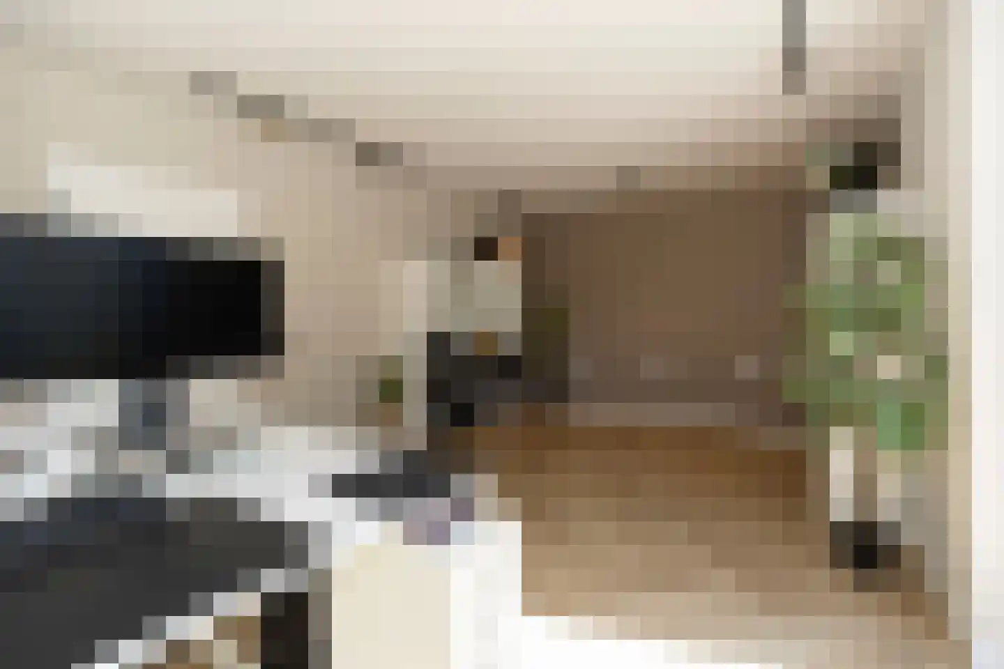 Seringenstraat 4 Ell thumbnail 25