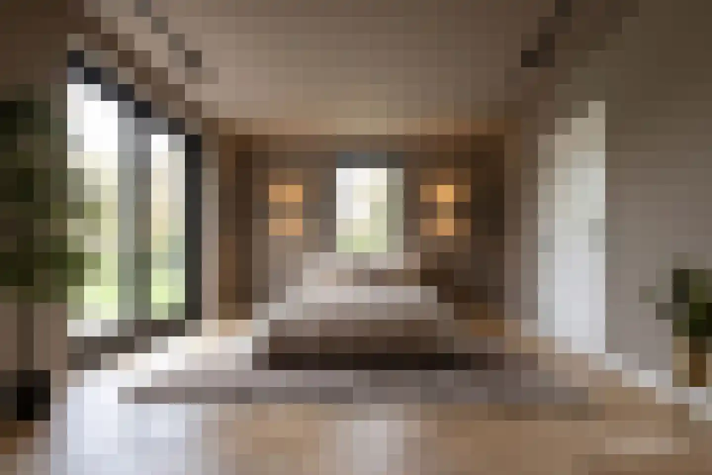 Seringenstraat 4 Ell thumbnail 28