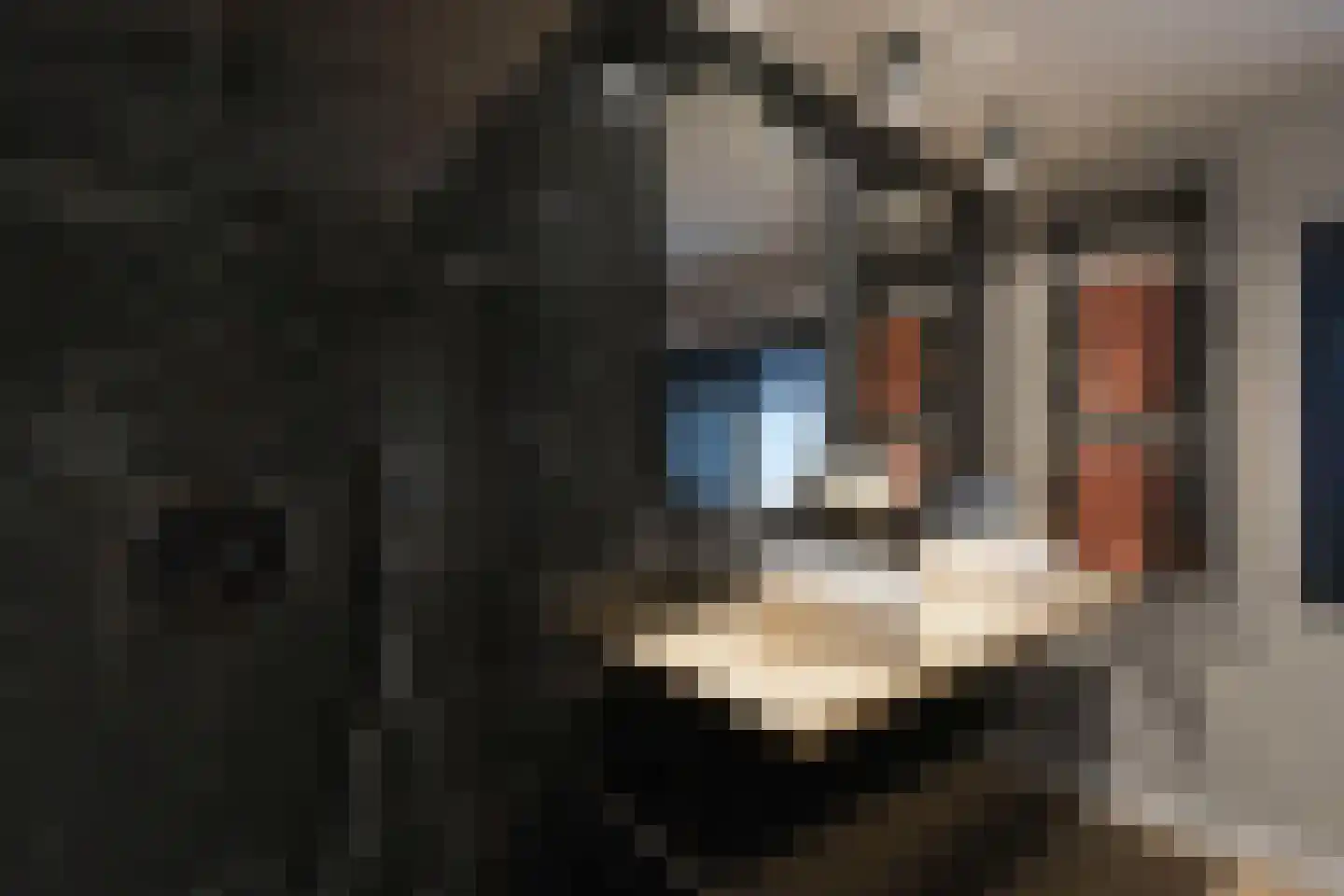 Seringenstraat 4 Ell thumbnail 39