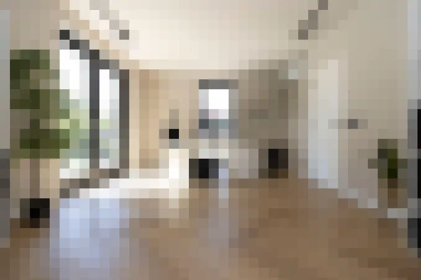 Seringenstraat 4 Ell thumbnail 4