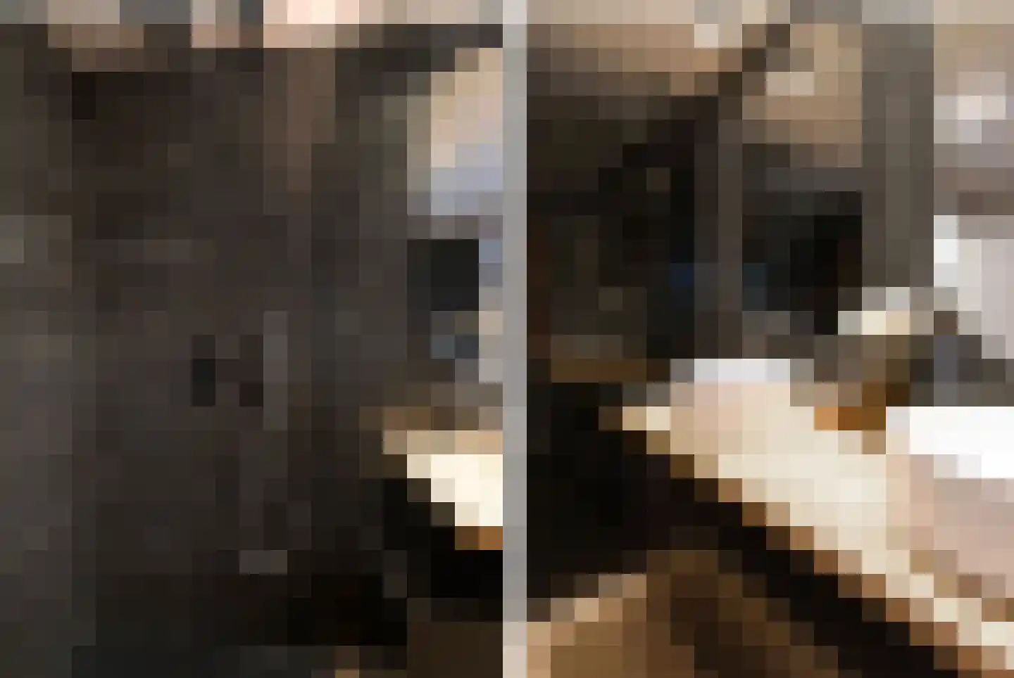 Seringenstraat 4 Ell thumbnail 41