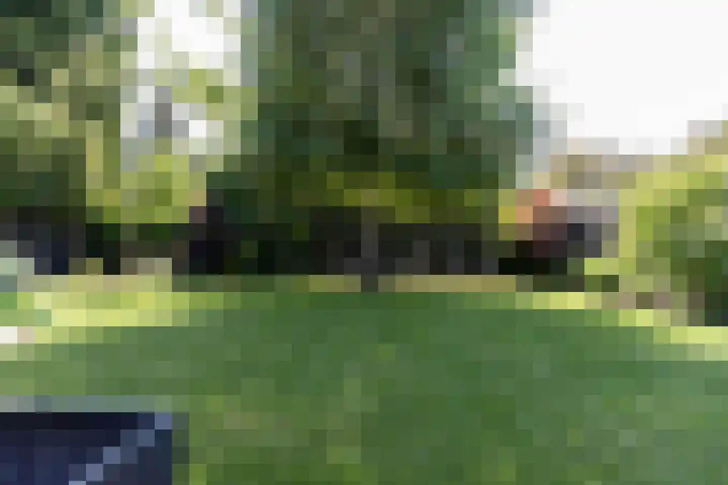 Seringenstraat 4 Ell thumbnail 48