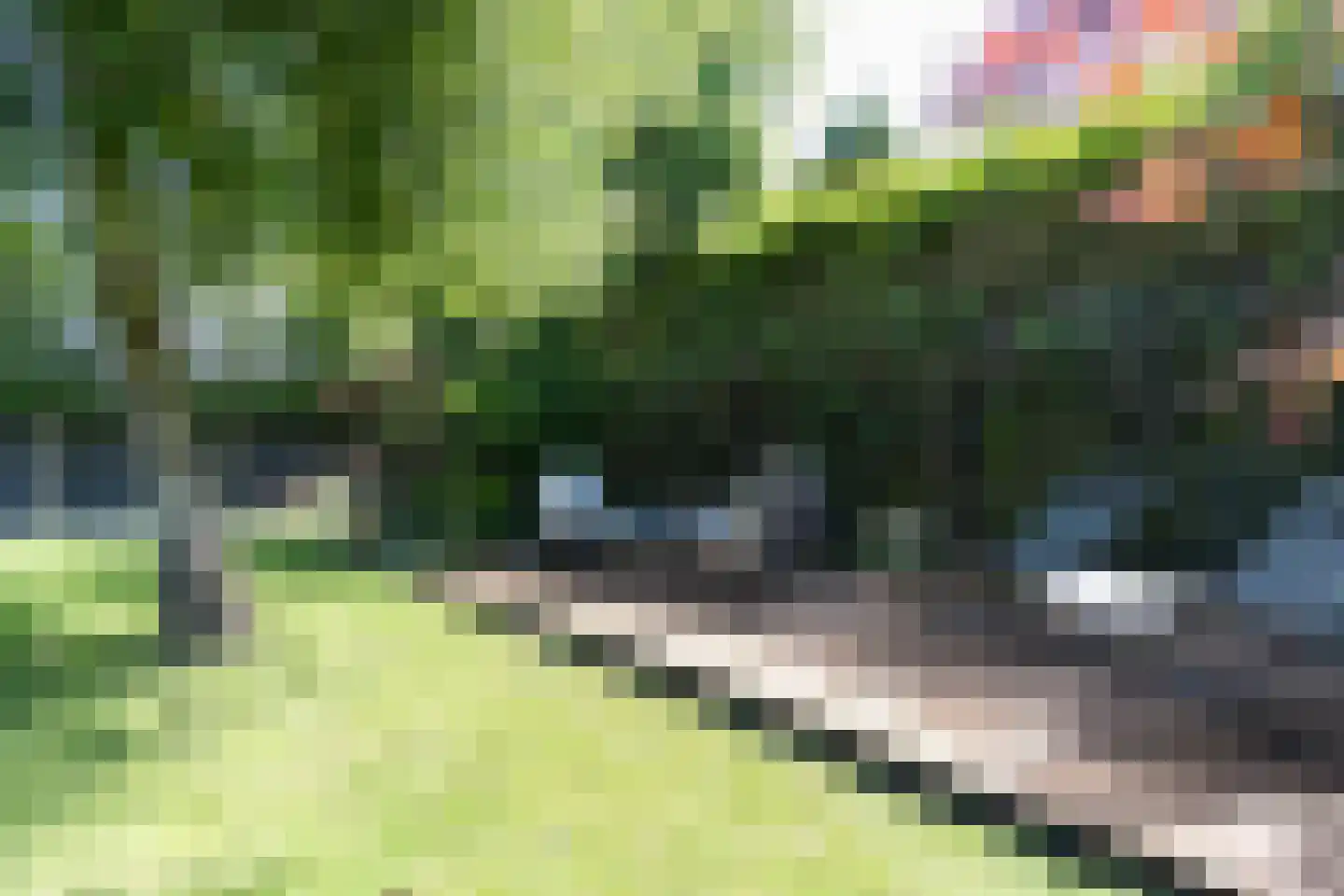 Seringenstraat 4 Ell thumbnail 49