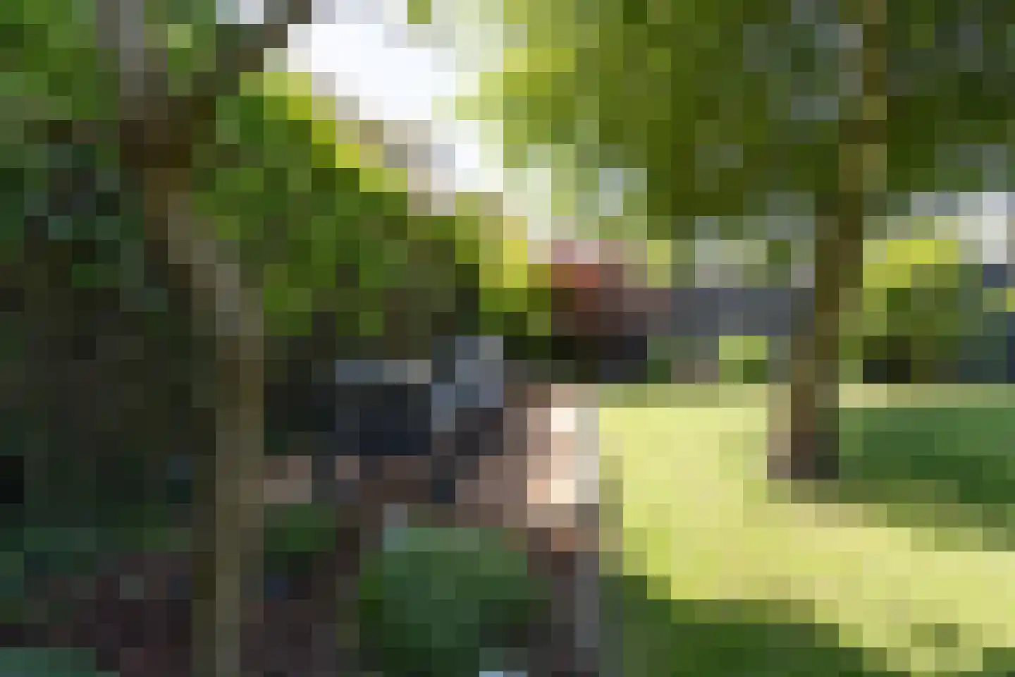Seringenstraat 4 Ell thumbnail 50