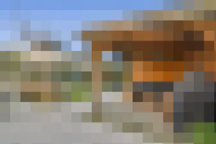 Seringenstraat 42 Vlaardingen thumbnail 15