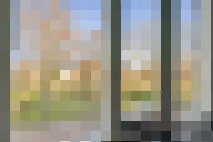 Seringenstraat 42 Vlaardingen thumbnail 25