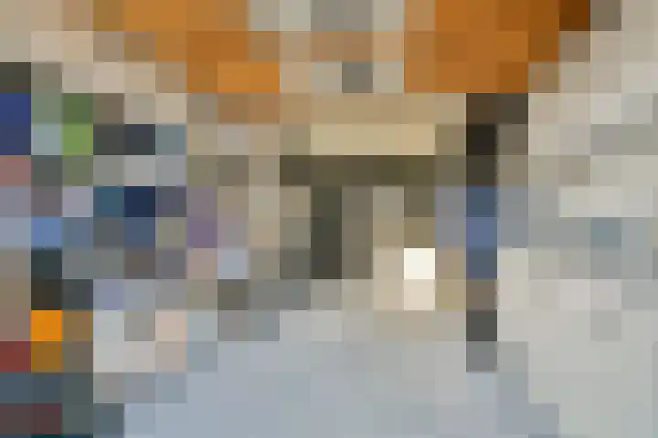 Seringenstraat 42 Vlaardingen thumbnail 36