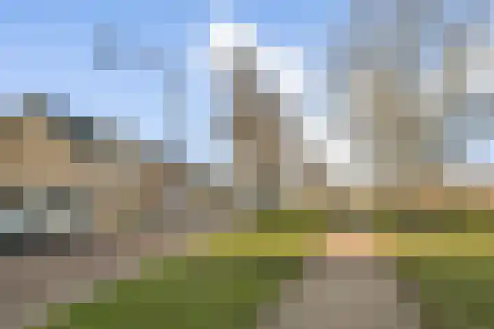 Seringenstraat 42 Vlaardingen thumbnail 37