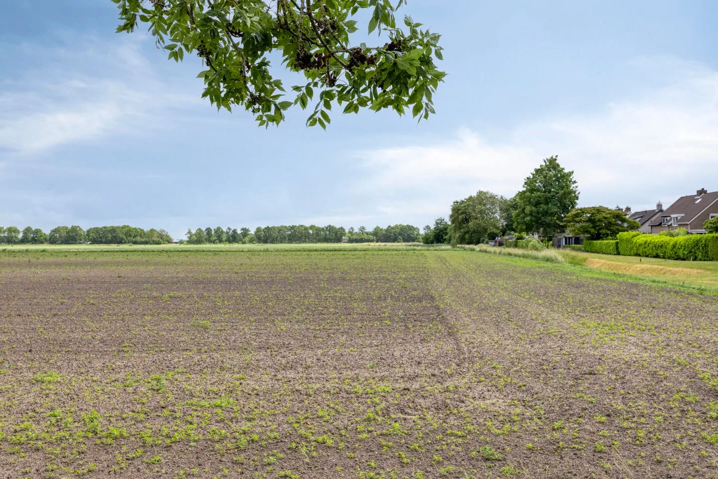 Seringenstraat 5 Wouwse Plantage thumbnail 41