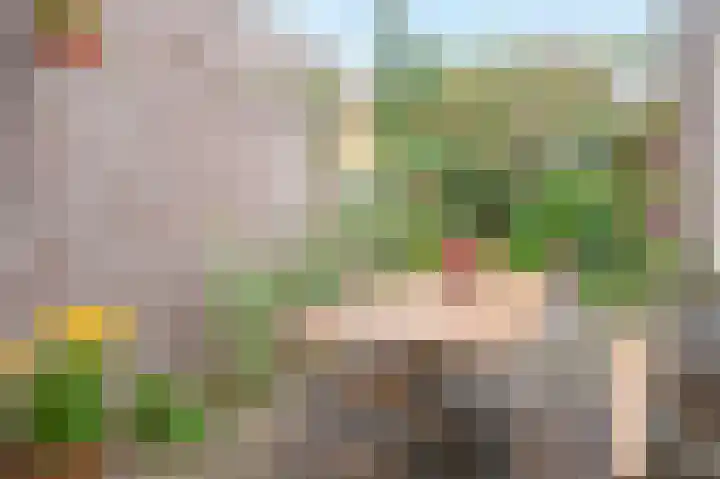 Seringenstraat 5 Zwolle thumbnail 16