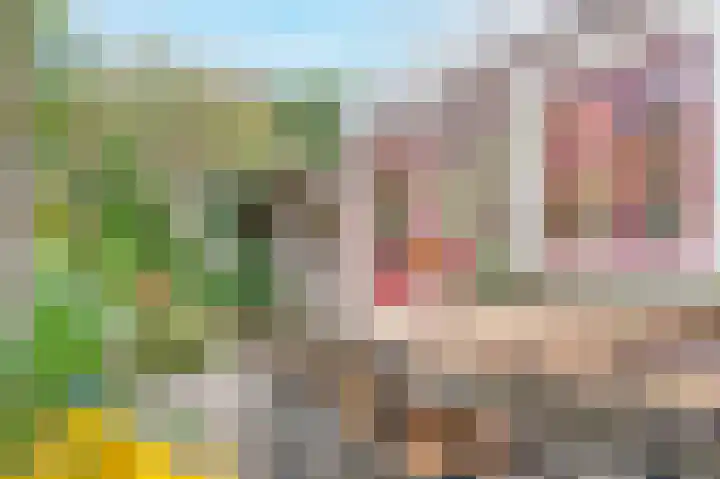 Seringenstraat 5 Zwolle thumbnail 17