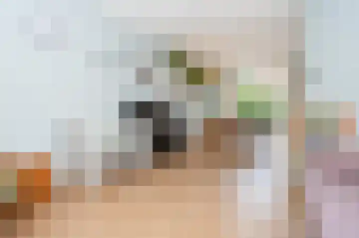 Seringenstraat 5 Zwolle thumbnail 5