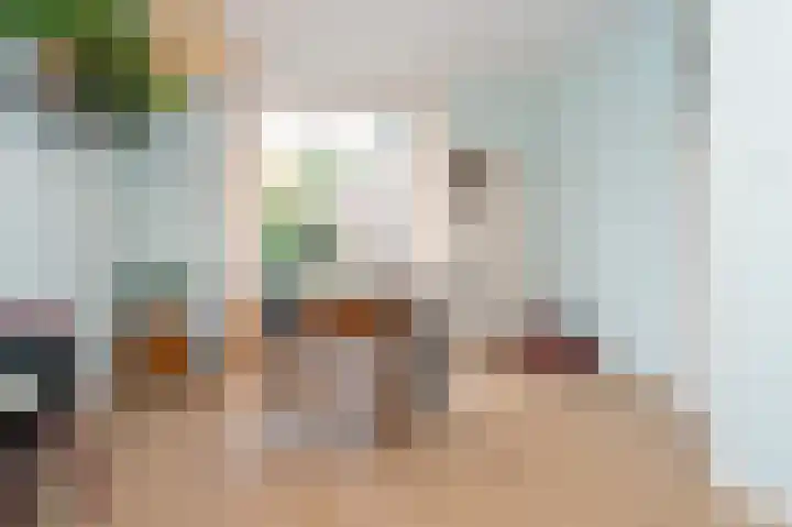 Seringenstraat 5 Zwolle thumbnail 8