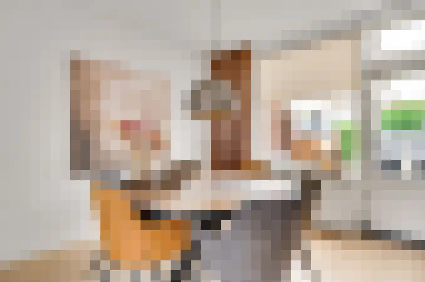 Seringenstraat 52 Echt thumbnail 11