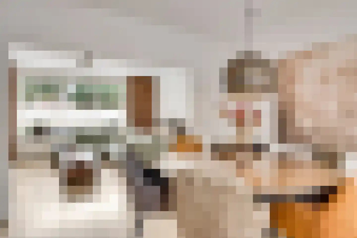 Seringenstraat 52 Echt thumbnail 12