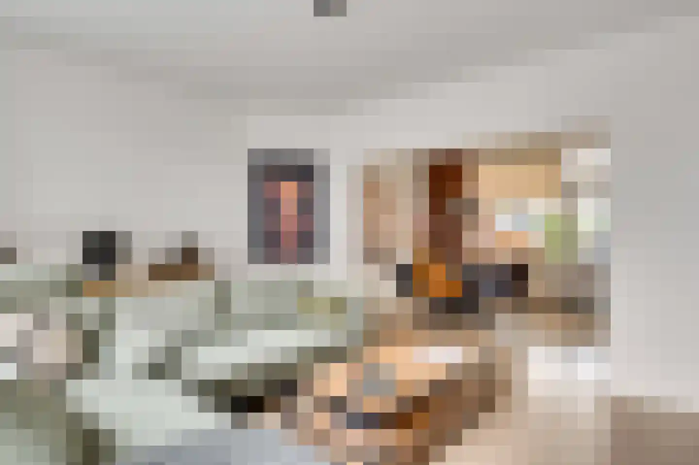 Seringenstraat 52 Echt thumbnail 14