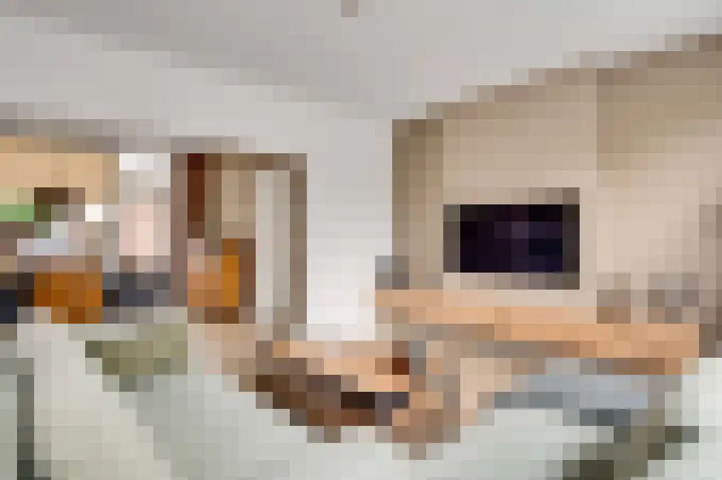 Seringenstraat 52 Echt thumbnail 15