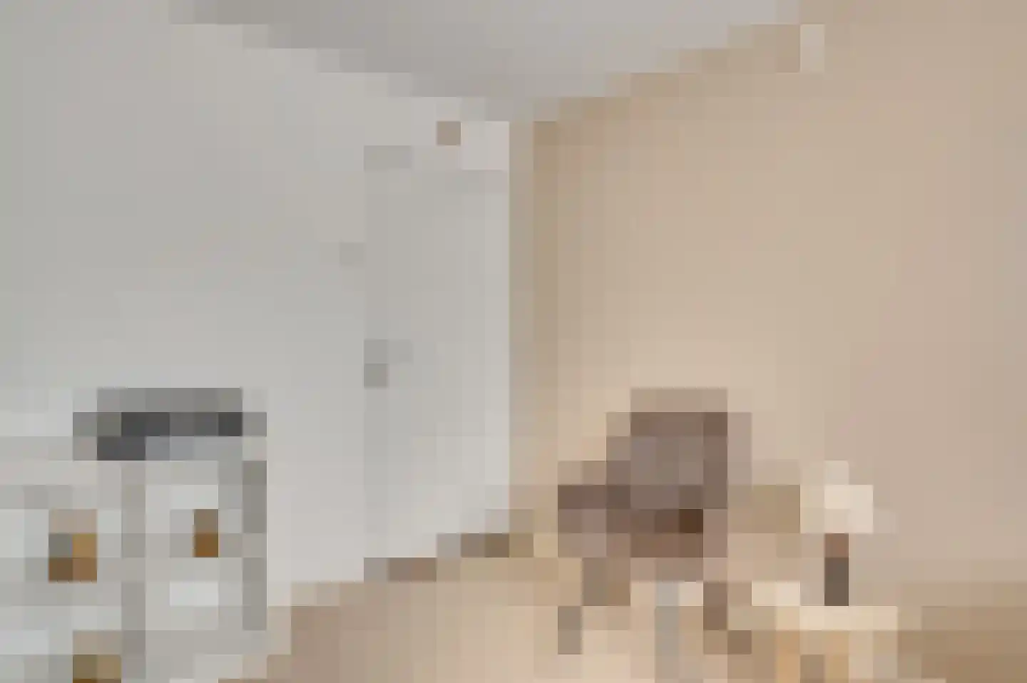 Seringenstraat 52 Echt thumbnail 23