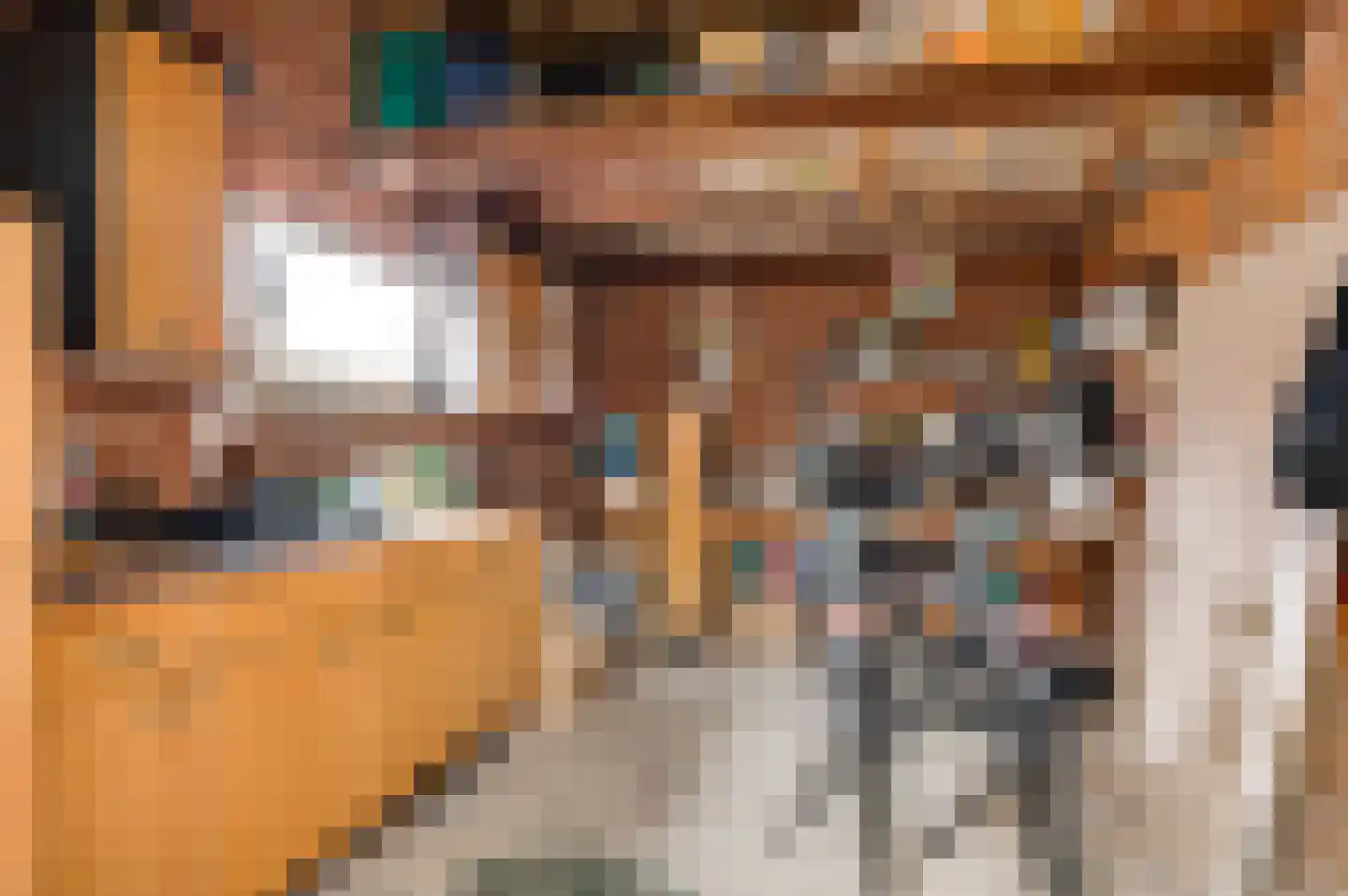 Seringenstraat 52 Echt thumbnail 28