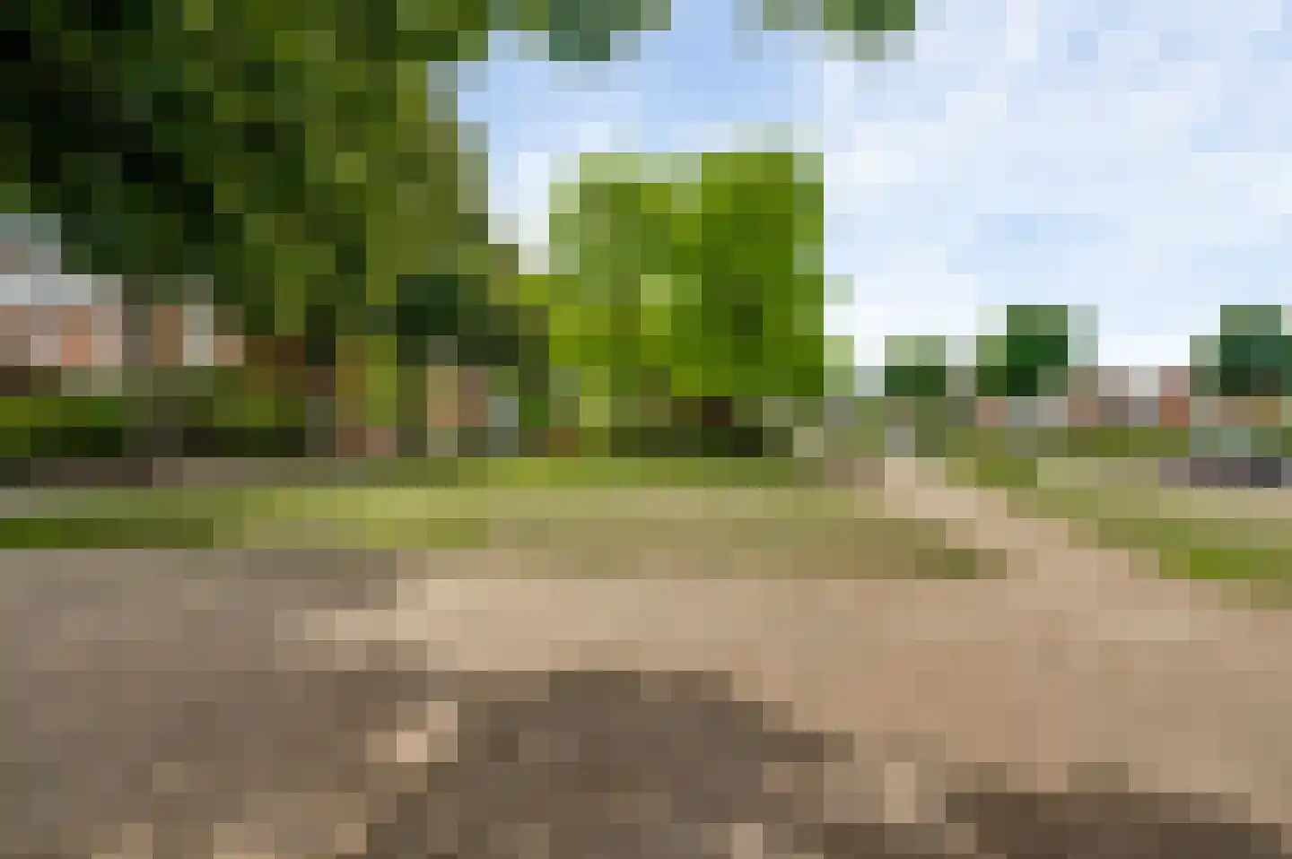 Seringenstraat 52 Echt thumbnail 29