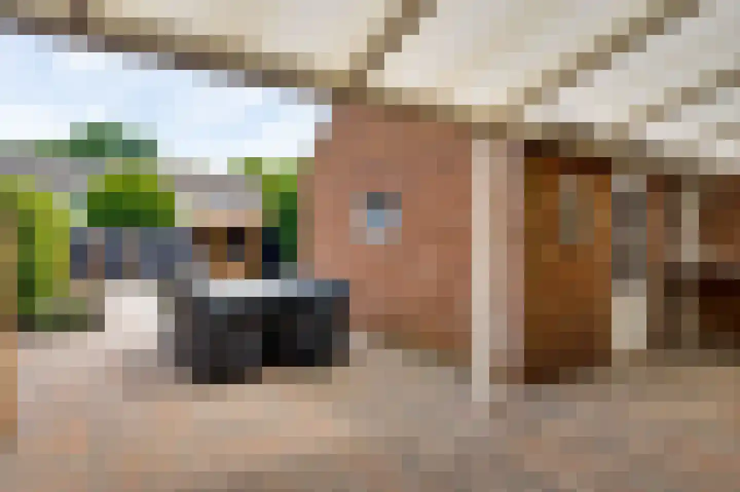 Seringenstraat 52 Echt thumbnail 31
