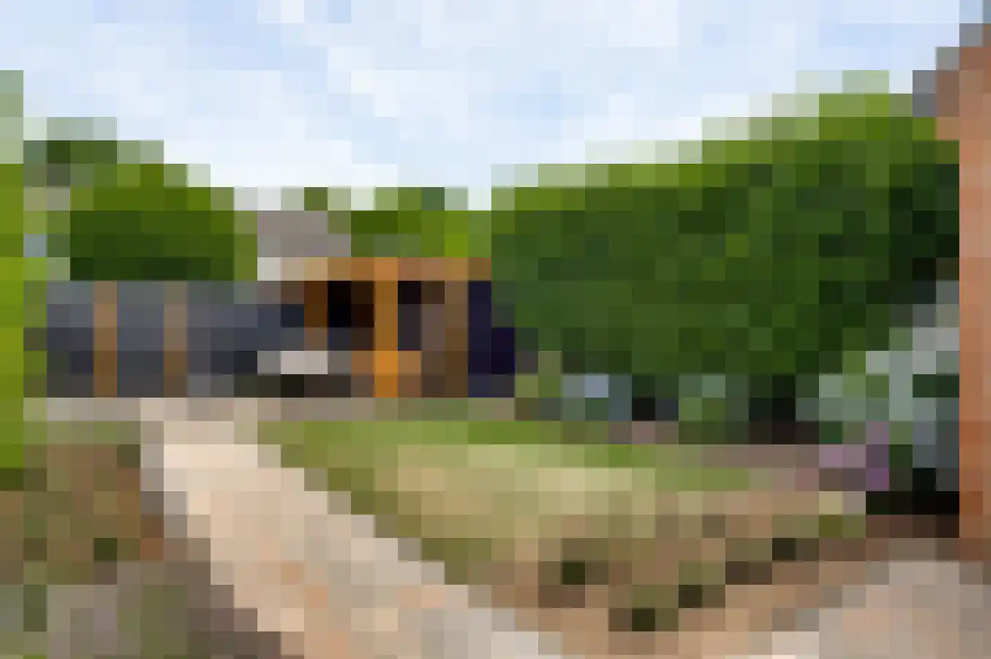 Seringenstraat 52 Echt thumbnail 34