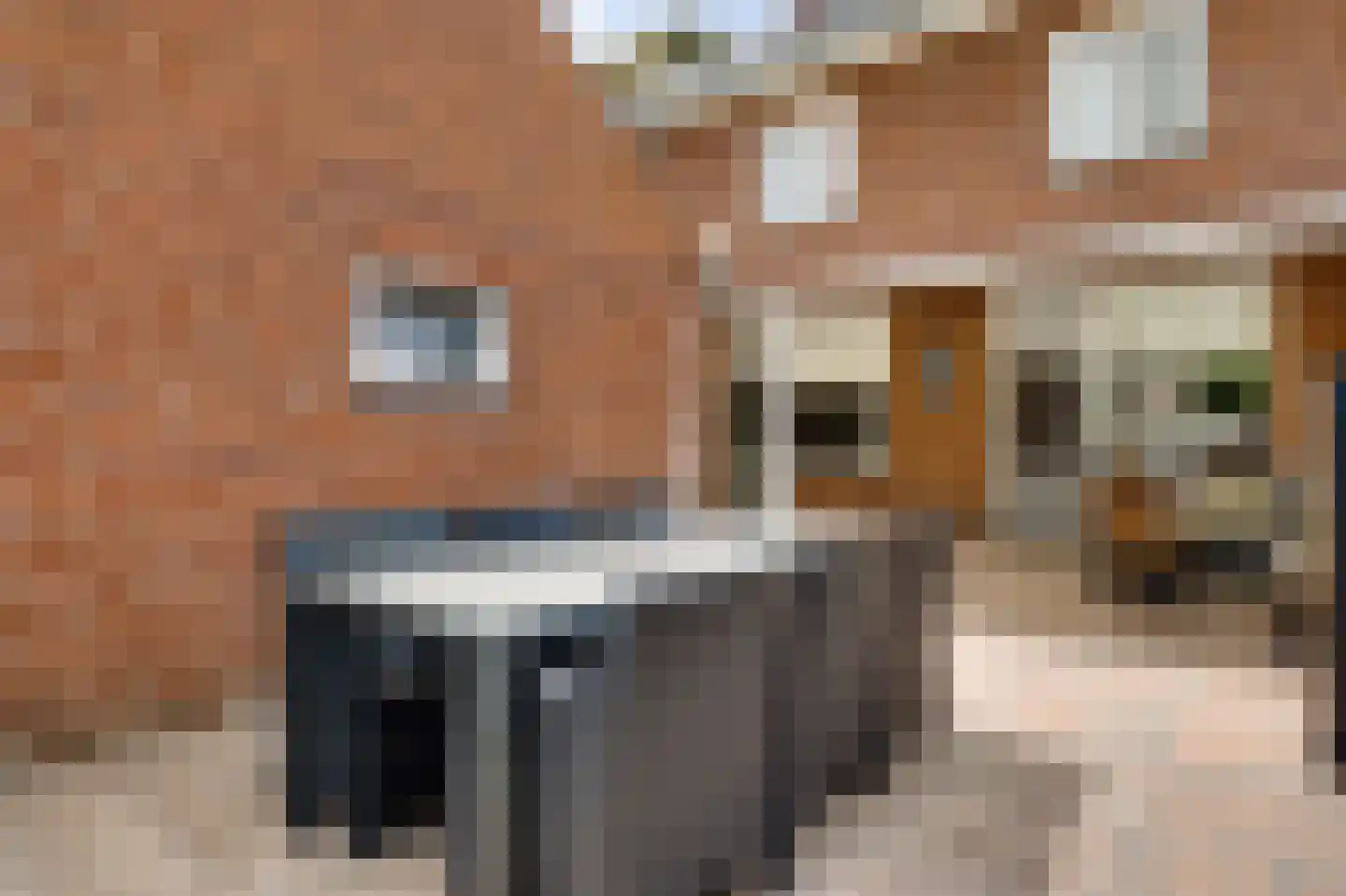 Seringenstraat 52 Echt thumbnail 36