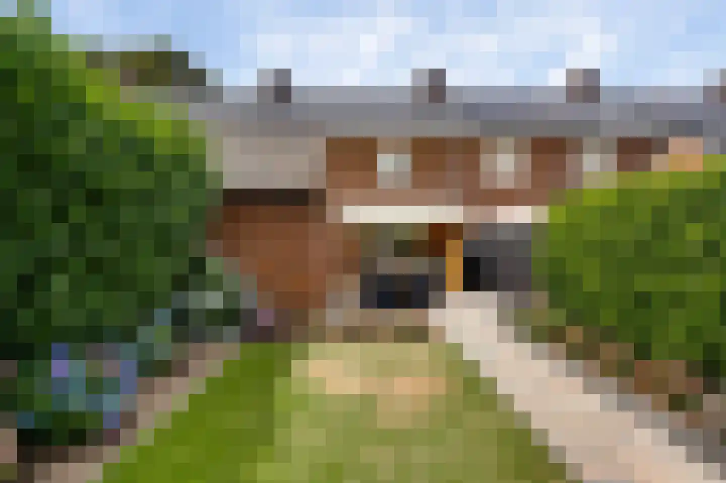 Seringenstraat 52 Echt thumbnail 38