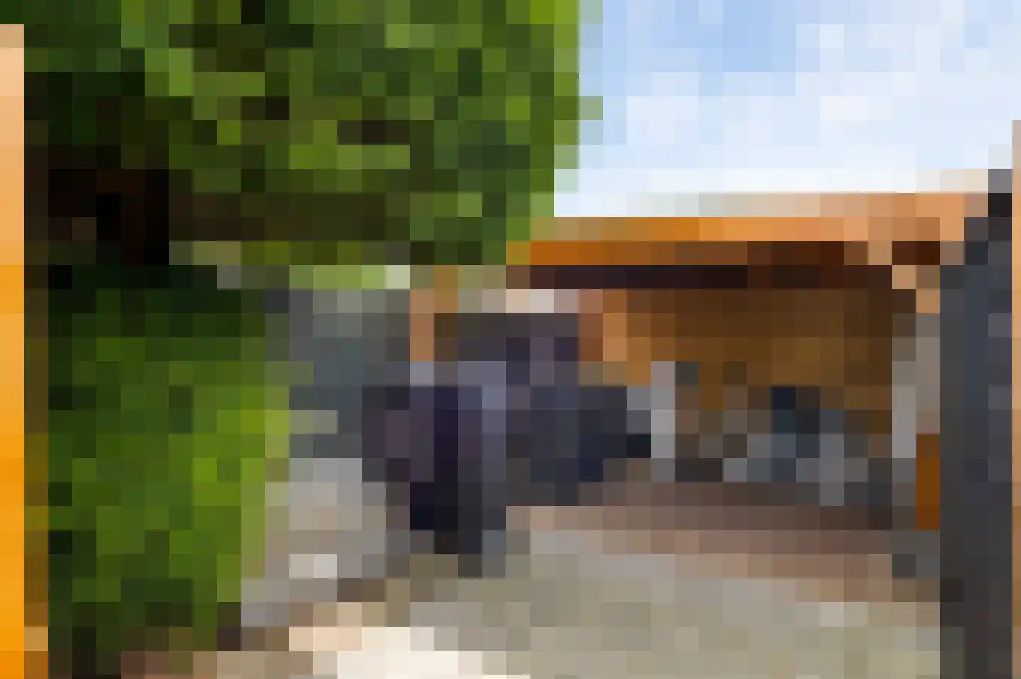Seringenstraat 52 Echt thumbnail 39