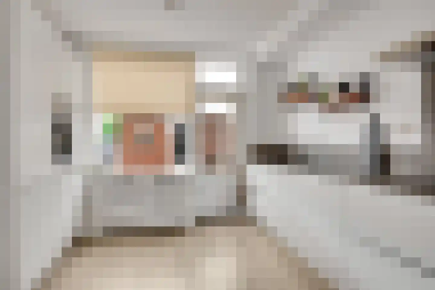 Seringenstraat 52 Echt thumbnail 8
