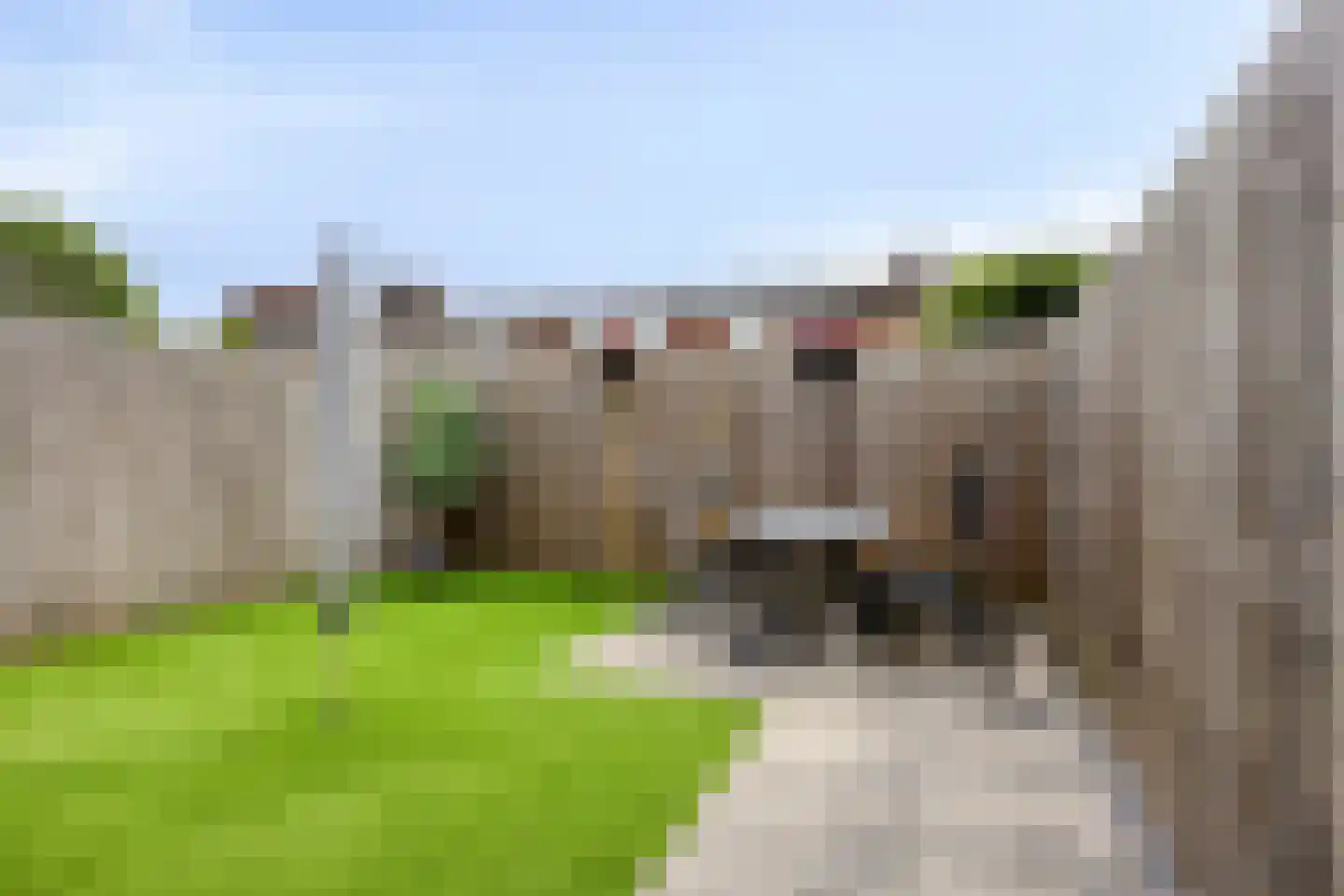 Seringenstraat 59 Gennep thumbnail 46