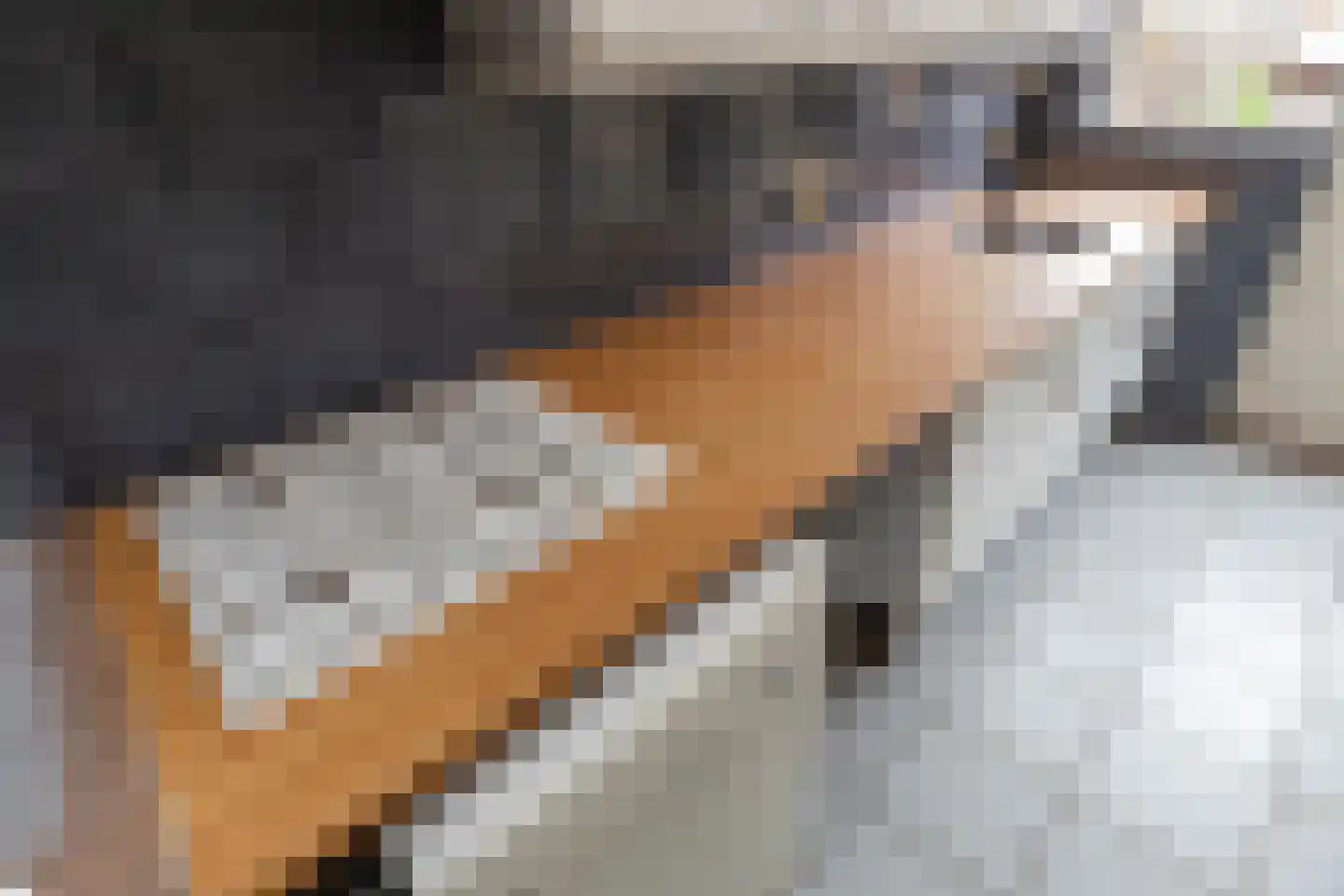 Seringenstraat 6 Schipluiden thumbnail 12