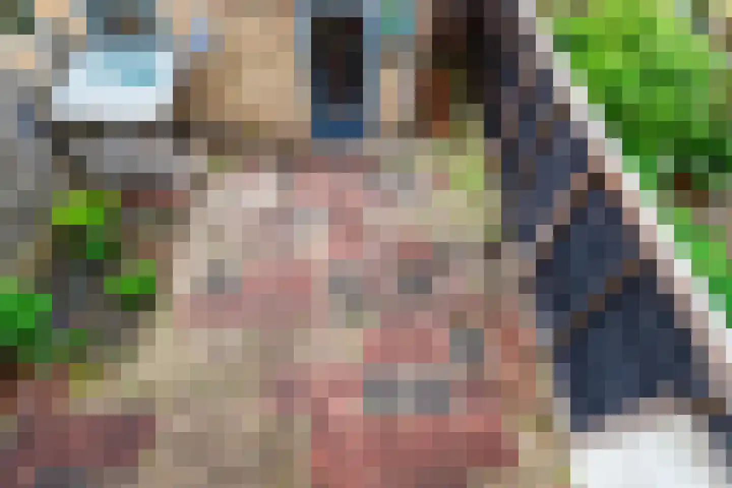 Seringenstraat 6 Schipluiden thumbnail 20