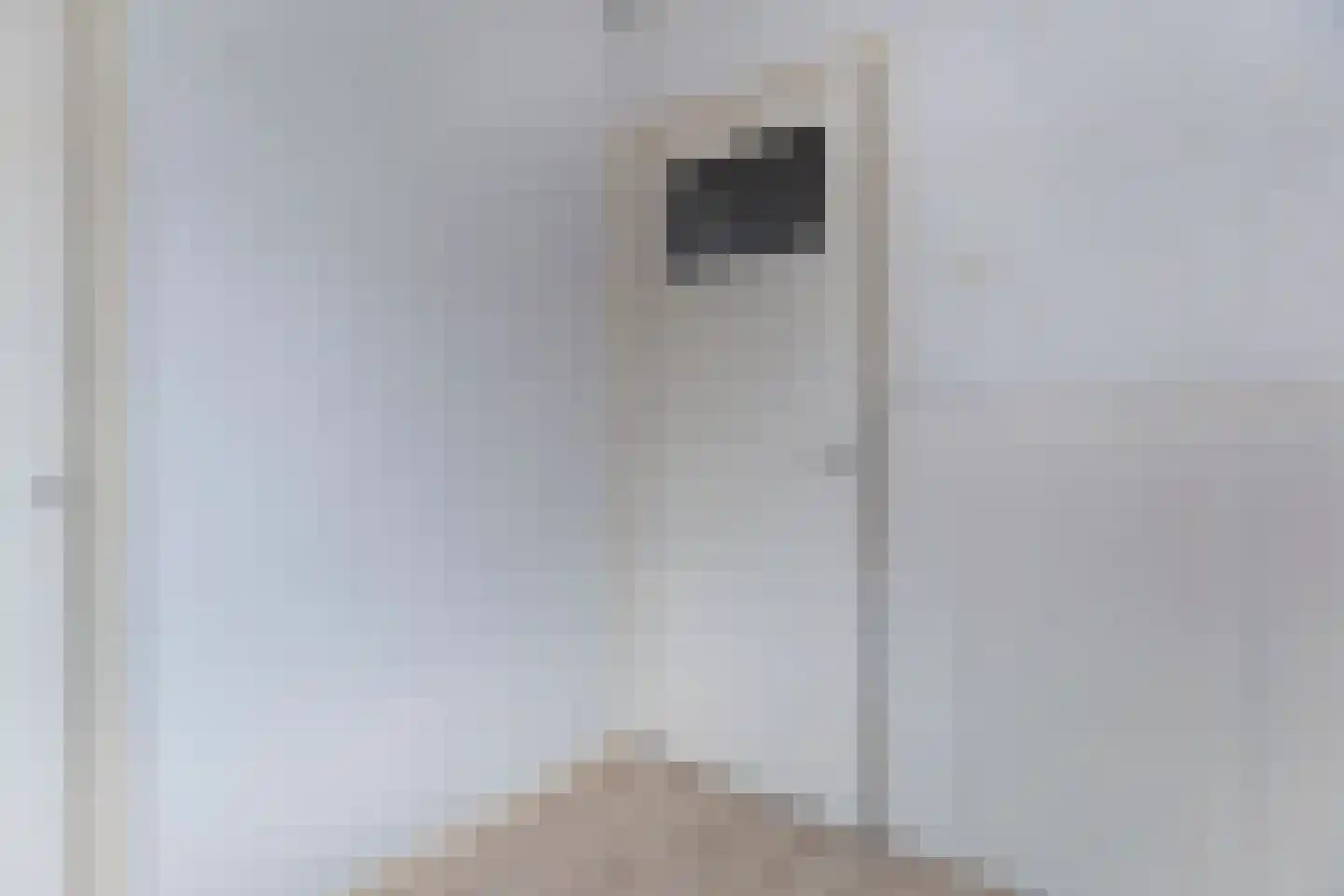 Seringenstraat 6 Schipluiden thumbnail 27