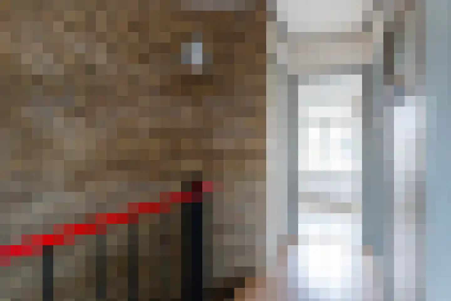 Seringenstraat 6 Schipluiden thumbnail 31