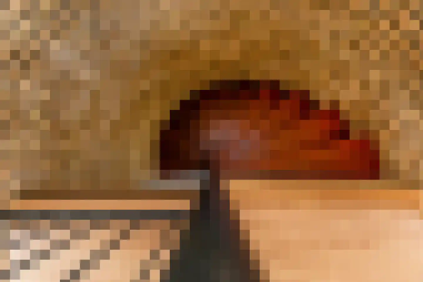 Seringenstraat 6 Schipluiden thumbnail 33