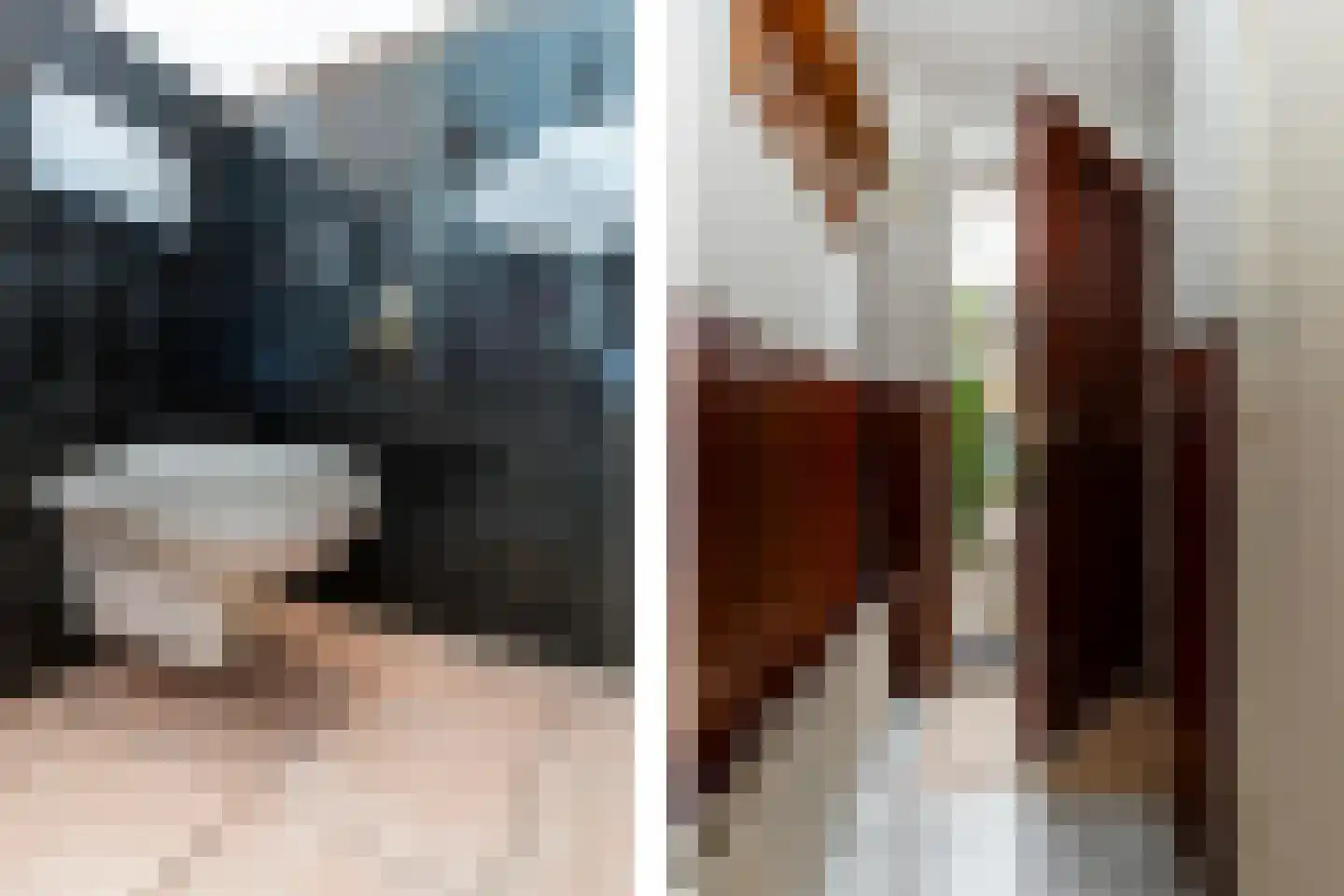Seringenstraat 6 Schipluiden thumbnail 34