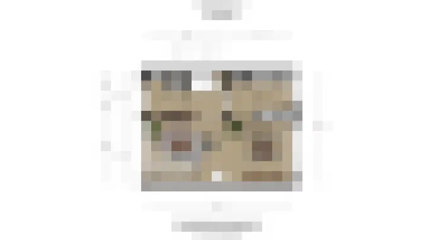 Seringenstraat 6 Schipluiden thumbnail 39