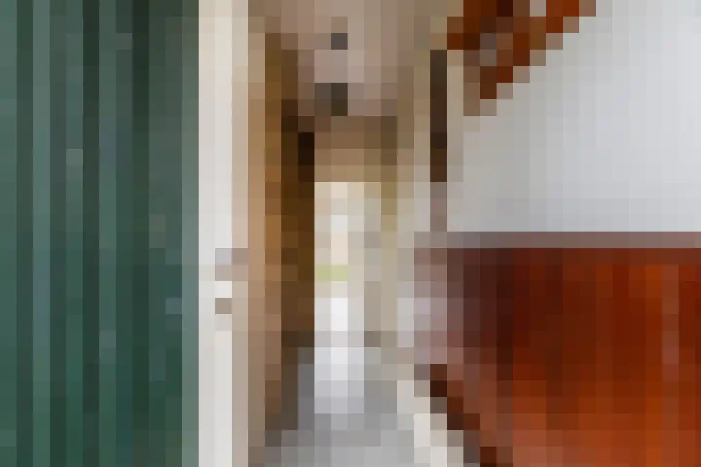 Seringenstraat 6 Schipluiden thumbnail 5