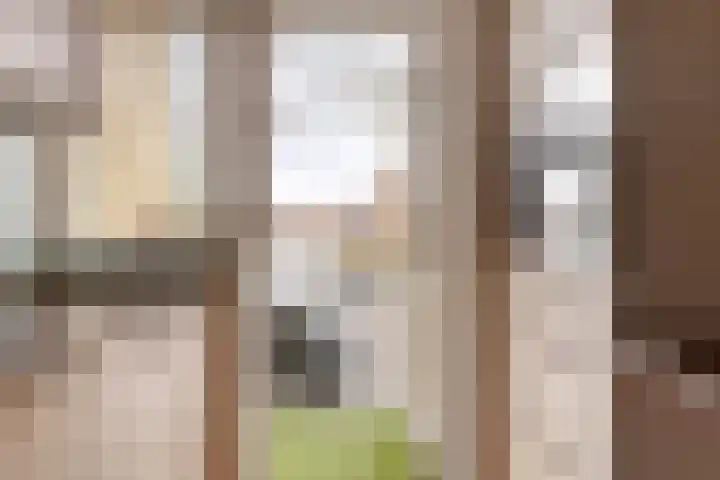 Seringenstraat 66 Alphen aan den Rijn thumbnail 15