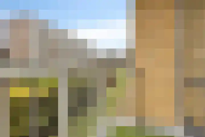 Seringenstraat 66 Alphen aan den Rijn thumbnail 21