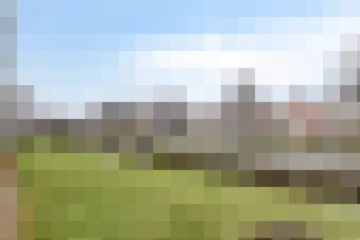 Seringenstraat 66 Alphen aan den Rijn thumbnail 23