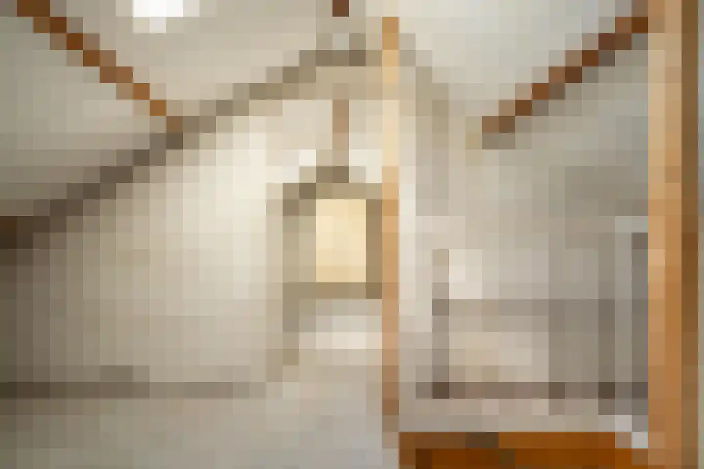 Seringenstraat 7 Beneden-Leeuwen thumbnail 31