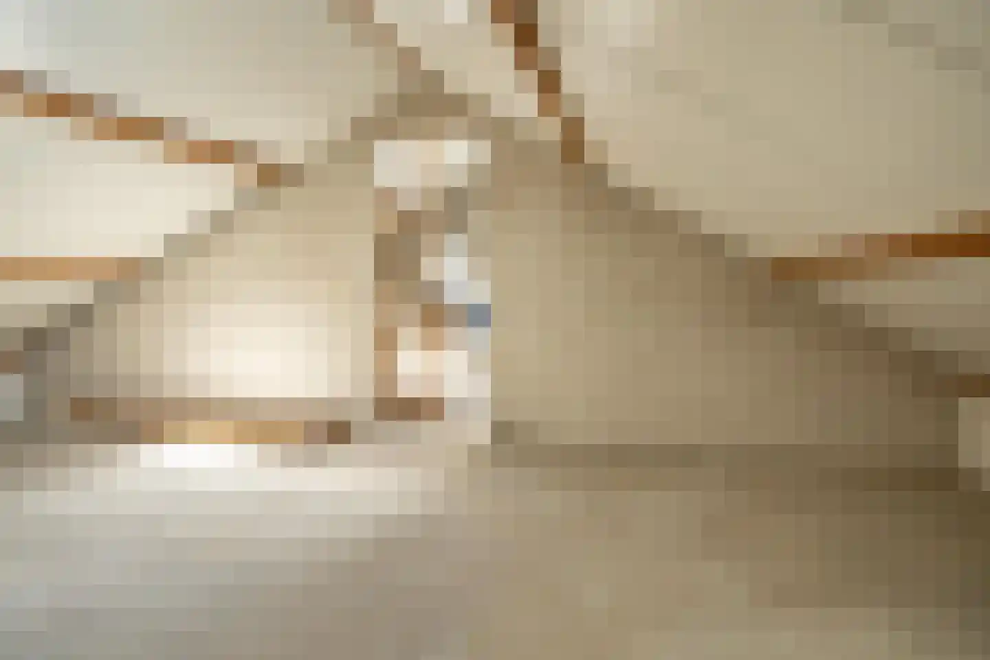 Seringenstraat 7 Beneden-Leeuwen thumbnail 32