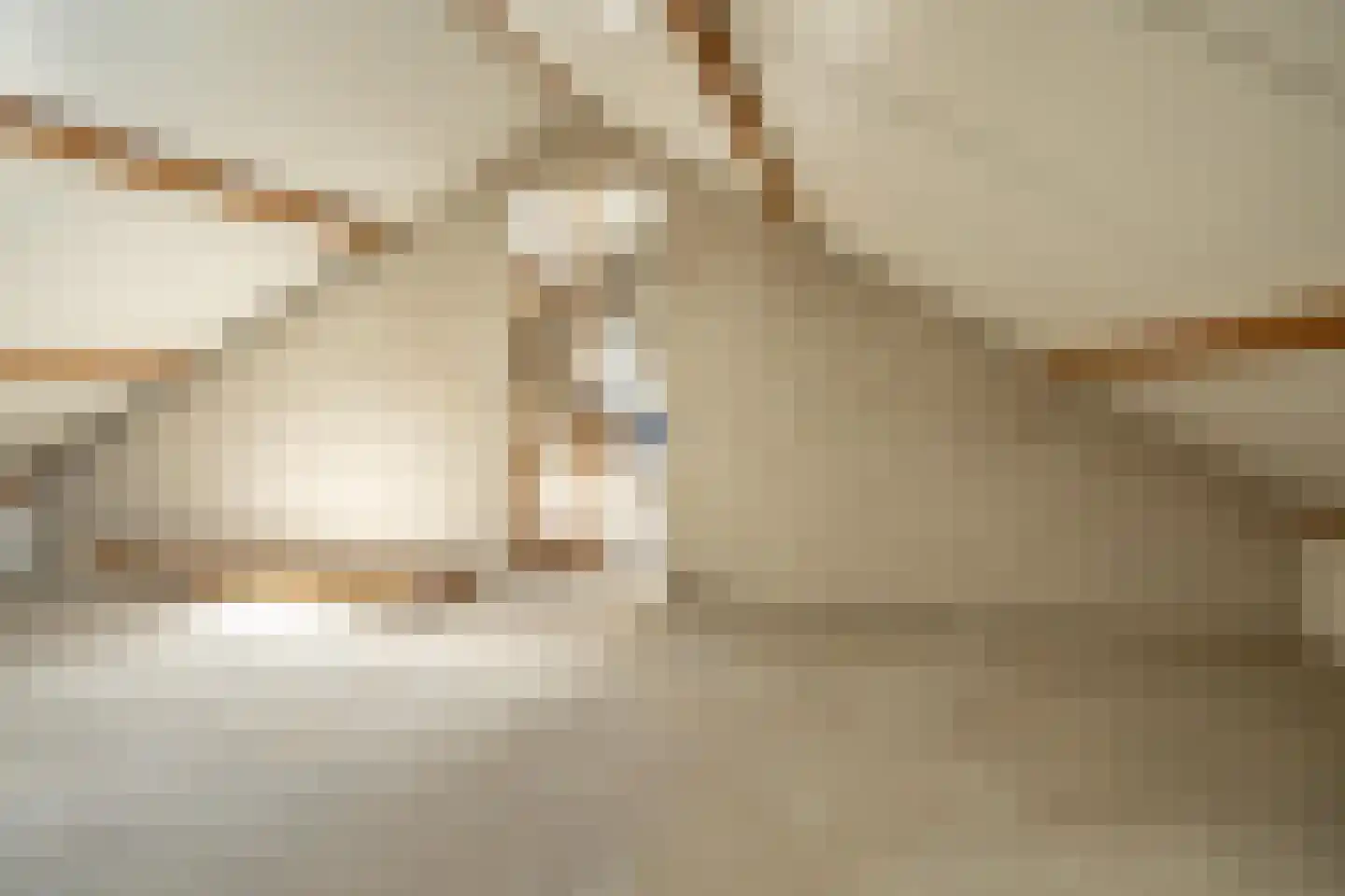 Seringenstraat 7 Beneden-Leeuwen thumbnail 32