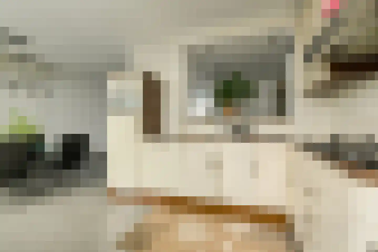 Seringenstraat 7 Oosterhout thumbnail 10